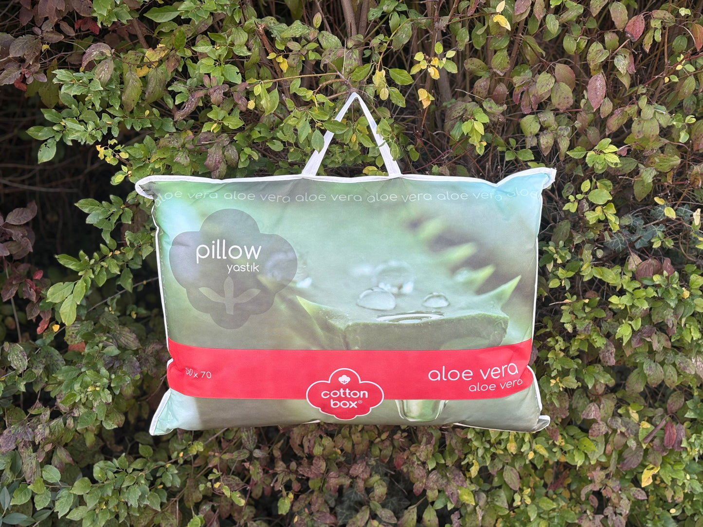 Aloe Vera Kissen